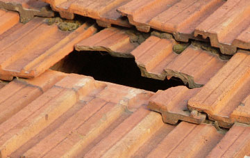 roof repair Skelton