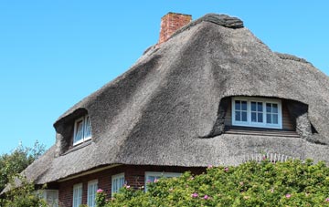 thatch roofing Skelton